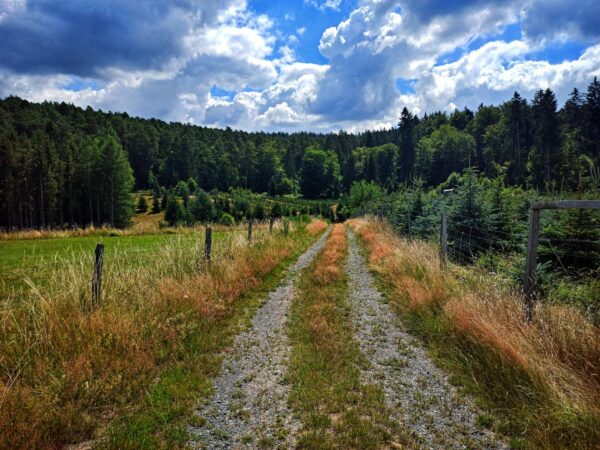 Am Spessartbogen – Marjoß